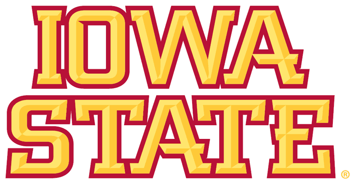 Iowa State Cyclones 2007-Pres Wordmark Logo v2 iron on transfers for T-shirts